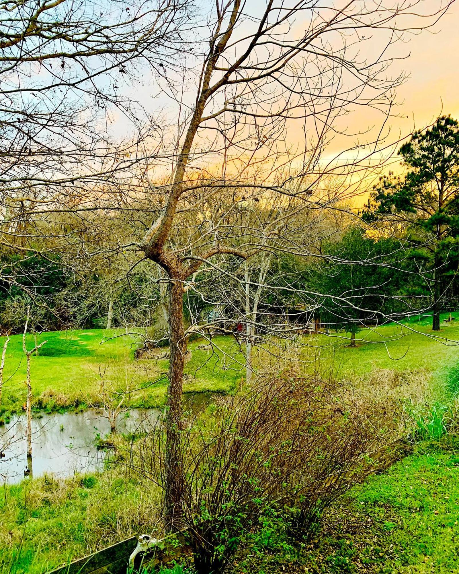 Circa 1900 - Historic - Romantic - Private - Pond - Fenced Yard - The Cottage At Chappell Hill المظهر الخارجي الصورة